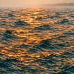 how much omega-3 per day
