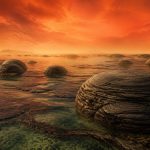 algae transformed earth
