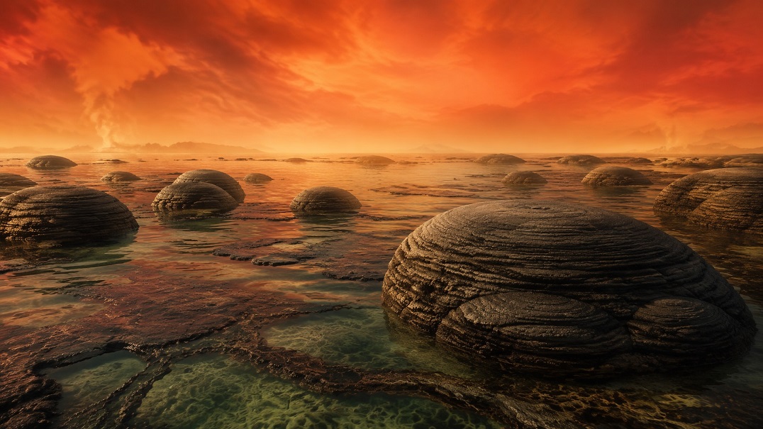 algae transformed earth