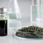 vial algae oil petri dish dried algae