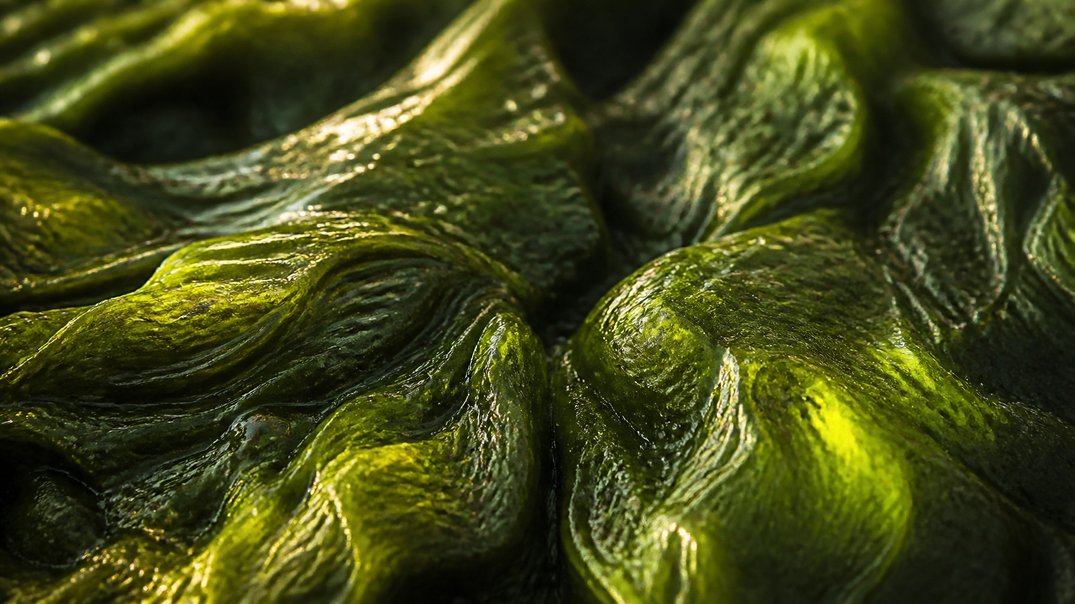 omega-3 and gut microbiome