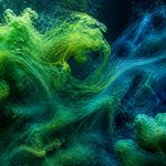 algae food security changing climate