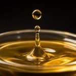 algae oil vs flaxseed oil ala dha