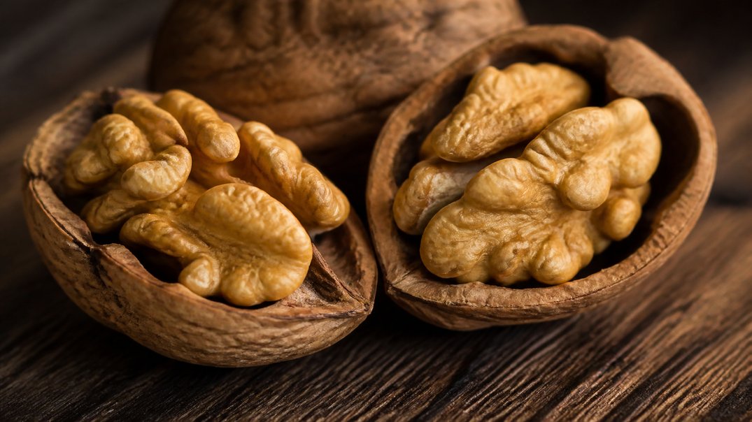 algae oil vs walnuts ala dha